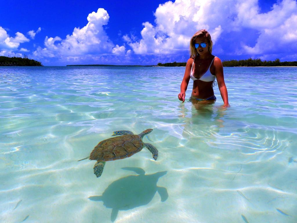Bluff House Beach Resort & Marina Green Turtle Cay Kültér fotó